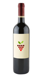 Stoney Ridge Excellence Pinot Noir VQA 2009 Bottle